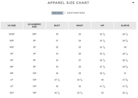 loft petite size chart