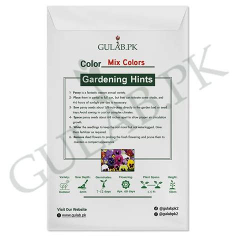 Pansy Seeds - Karachi - Gulab.pk