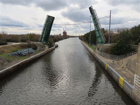 Asian carp control in Illinois - mlive.com