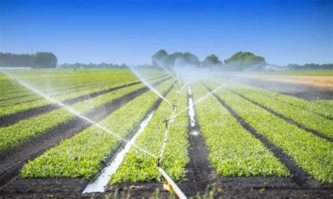 Irrigation in Australia: The Complete Picture - Orchard Tech