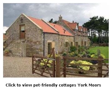 Pets welcome self-catering holidays Yorkshire Moors