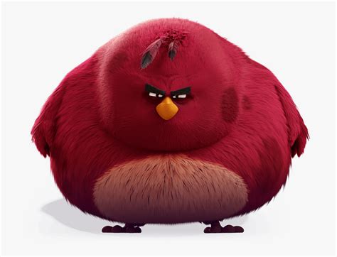 Big Red Bird From Angry Birds, HD Png Download - kindpng