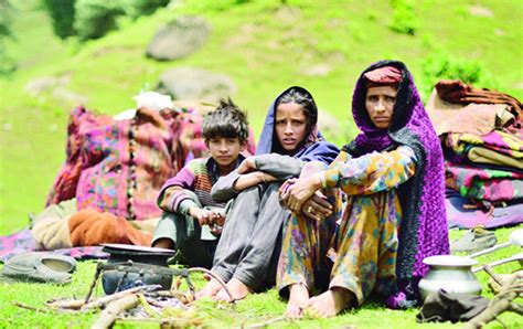 Gujjars & Bakarwals of J&K From mountains to scheduled tribe - Daily ...