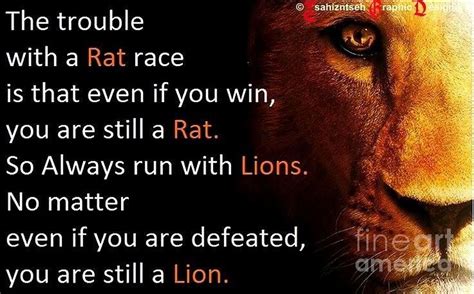 The trouble with a Rat race @ •sahii is that even if you win, you are ...