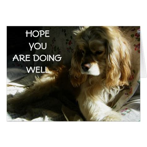 "HOPE YOU ARE DOING WELL" CARD | Zazzle.com