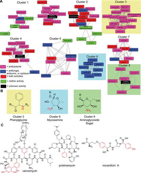 Aminotransferase class I and II SSN. (A) Each node in the sequence... | Download Scientific Diagram