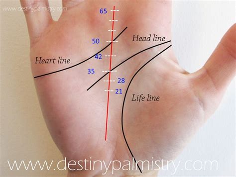 Fate Line Timing Events Scale in Palmistry - Destiny Palmistry Home