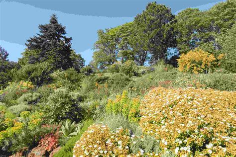 Ness Botanic Gardens | University of Liverpool