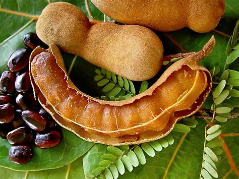 Keep Calm & Curry On: Ingredient of the Week: Tamarind