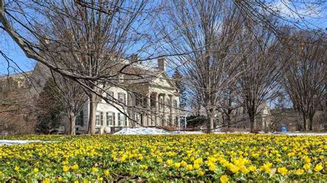 George Eastman Museum | Day Trips Around Rochester, NY