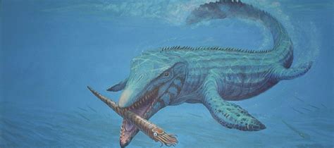 Mosasaur: Apex Predator of the Western Interior Seaway (U.S. National ...