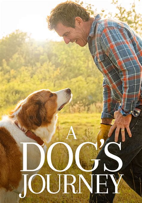 A Dog's Journey (2019) | Kaleidescape Movie Store