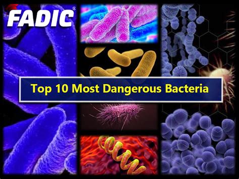 Harmful Microorganisms With Names