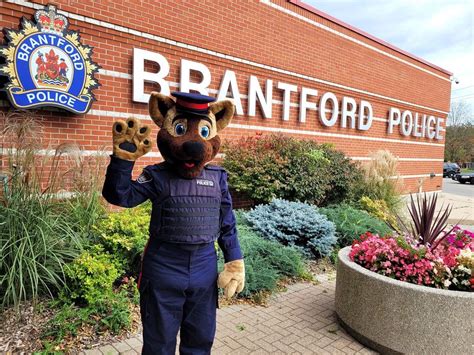 Brantford police introduce new recruit | Brantford Expositor