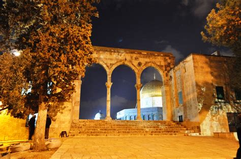 A traveller's reflection: Palestine and Israel - 2011