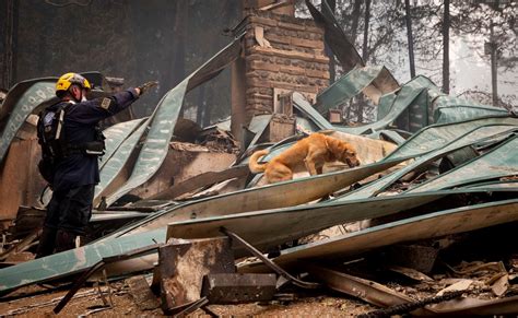 Oregon wildfire near Eugene destroys at least 500 homes, structures; 8% ...