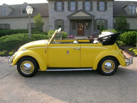 1965 Volkswagen Beetle Convertible great fun dependable little car. NO ...