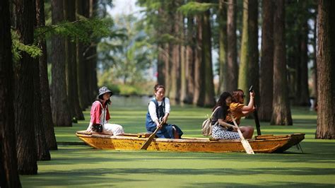 Chinese tourists play in the water forest during National Day holiday - CGTN