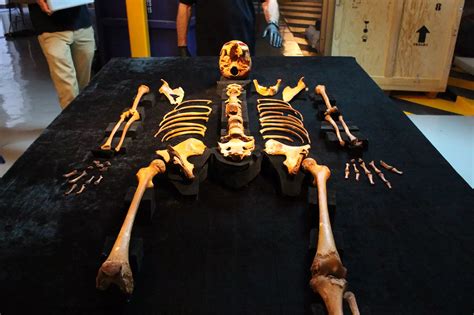 The divers named the skeleton, a girl who was approximately 15 or 16 years-old, "Naia ...