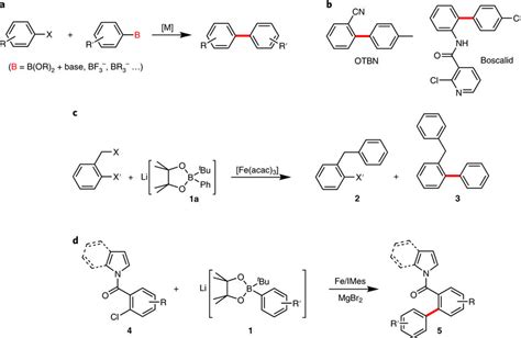 Suzuki biaryl cross-coupling reactions a, The Suzuki biaryl... | Download Scientific Diagram