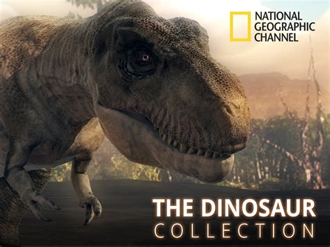 Watch The Dinosaur Collection | Prime Video