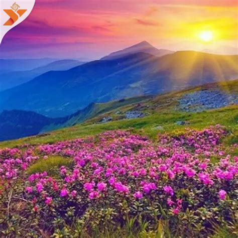 Valley of Flowers 2020 | Best Time to Viisit | How to Reach