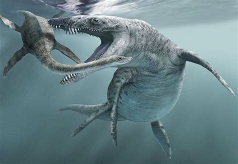 Hunt For Dinos on England's Jurassic Coast | DiscoverMagazine.com | Sea dinosaurs, Prehistoric ...