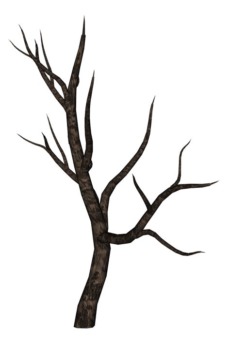 Tree Branches Silhouette at GetDrawings | Free download