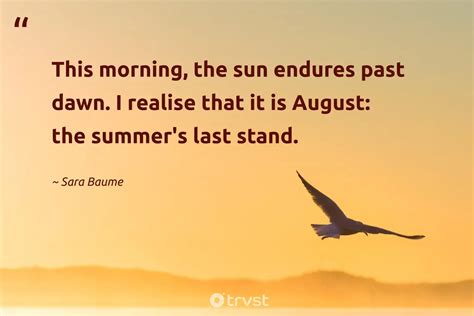 37 August Quotes About The Waning Warmth Of The Season