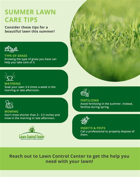 Summer Lawn Care Tips For Homeowners In Cleveland | Lawn Control Center