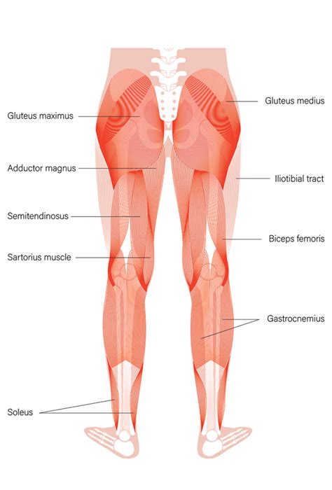 Should You Get Gastrocnemius Recession Surgery? - Regenexx