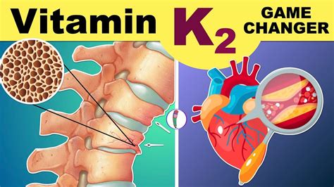 Vitamin K2 | Vitamin K2 Benefits | Vitamin K2 and D3 | Vitamin K2 Foods | Vitamin K - YouTube