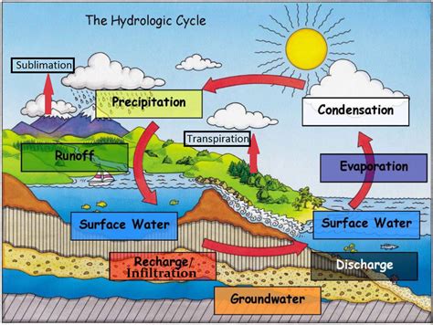 Water Cycle Diagram Labeled With Infiltration