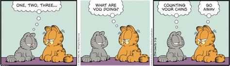 10 Funniest Garfield Comics Starring Nermal