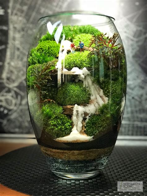 Terrarium Diy, Terrarium Scene, Miniature Terrarium, How To Make ...