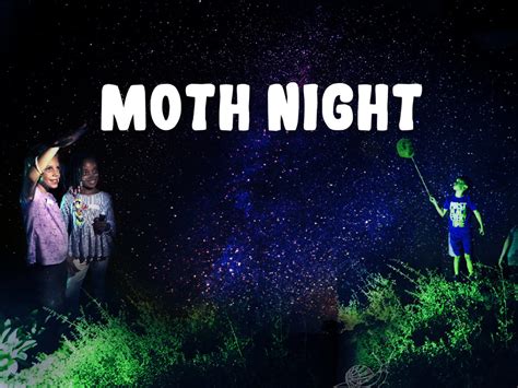 Moth Night - Staten Island Museum