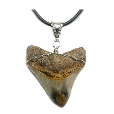 Megalodon Shark Tooth Necklace