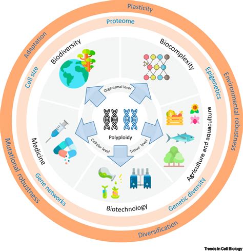 Polyploidy: A Biological Force From Cells to Ecosystems: Trends in Cell Biology