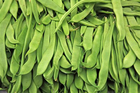 Guide to Beans from Green to Purple to Varieties