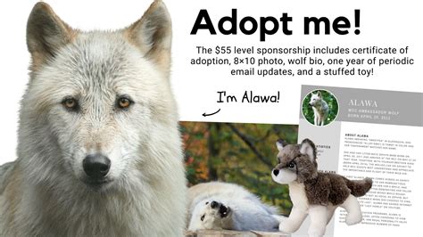 Wolf Conservation Center on Twitter | Wolf conservation center ...