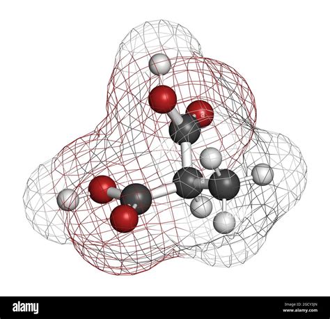 Methylmalonic acid molecule. Increased plasma levels may indicate vitamin B12 deficiency. 3D ...