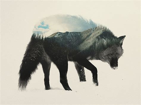 "The Animal Kingdom" - Double Exposure Portraits Of Animals by Andreas ...