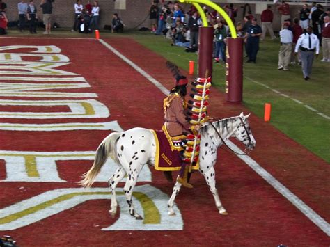 "Renegade" The FSU Seminoles Mascot - Equestrian Stylist