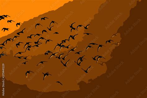 Flying birds. Sunset background. Vector image. Stock Vector | Adobe Stock