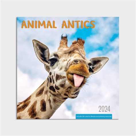 2024-Wall Calendar-Animal Antics-12x12 Hanging Wall Calendar by ...