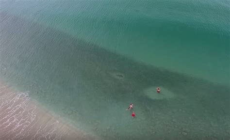 The Most Amazing Mullet Run Footage Ever Captured By Drone!