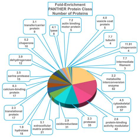 Composition of guinea pig perilymph proteome, by functional categories.... | Download Scientific ...