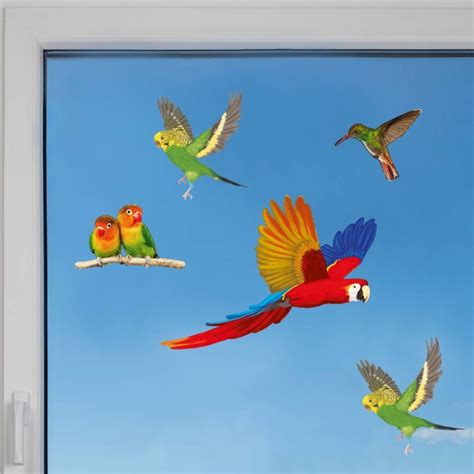 Window Decals for Birds - They prevent birds from hitting windows.