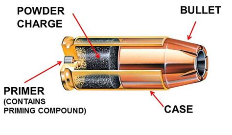 Ammo Types | Georgia Firearm Forums - Georgia Packing