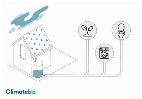 Rainwater Collection (All you need to know) - Climatebiz